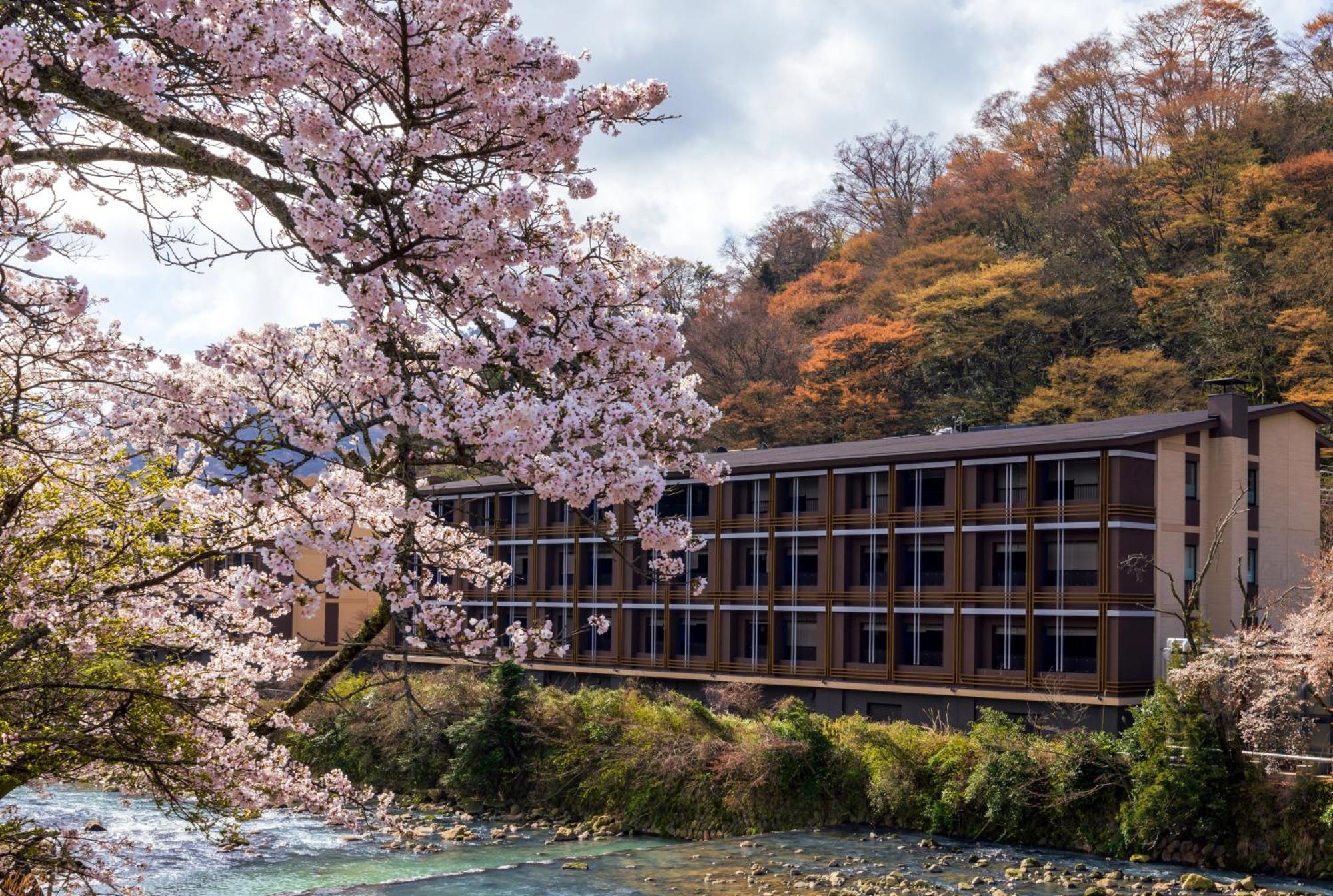Hotel Indigo Hakone Gora By Ihg Zewnętrze zdjęcie